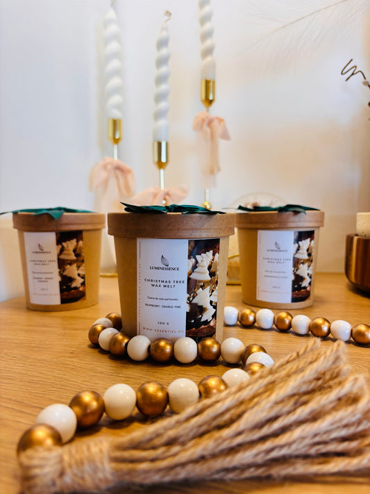 Set Wax Melts Cadou de Crăciun