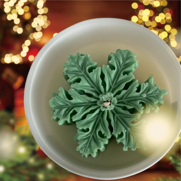 Cozy Christmas Green